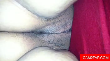 Adulto milf pussy pornô