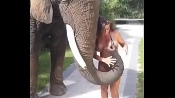 Nova esposa nua gif